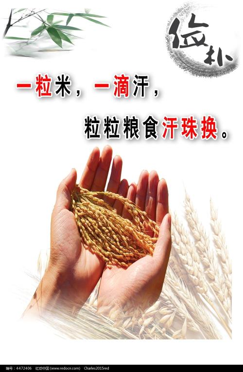 作假国立台北护理健康大学毕业证